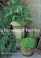 Harvest of Herbs