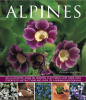 Alpines