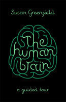 Human Brain