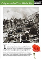Origins of the First World War