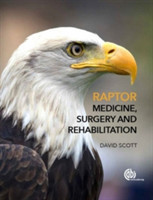 Raptor Medicine, Surgery, and Rehabilitation