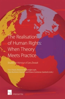 Realisation of Human Rights: When Theory Meets Practice