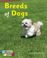 Breeds of Dogs