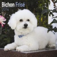 Bichon Frise Calendar 2016