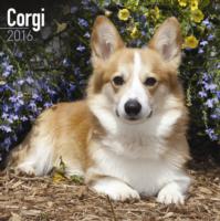 Corgi Calendar 2016