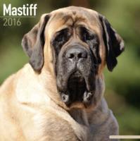 Mastiff Calendar 2016