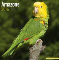 Amazons Calendar 2016