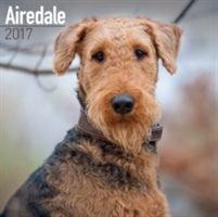 Airedale Calendar 2017