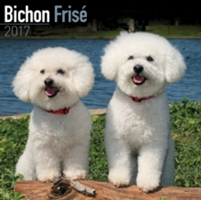 Bichon Frise Calendar 2017
