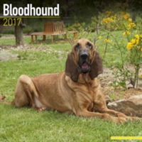 Bloodhound Calendar 2017