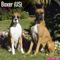 Boxer (US) Calendar 2017