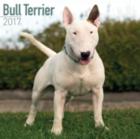 Bull Terrier Calendar 2017