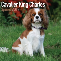 Cavalier King Charles Spaniel Calendar 2017