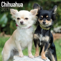 Chihuahua Calendar 2017