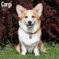 Corgi Calendar 2017