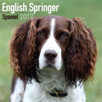 English Springer Spaniel Calendar 2017