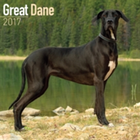 Great Dane Calendar 2017