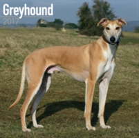 Greyhound Calendar 2017