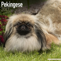 Pekingese Calendar 2017