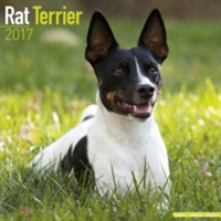 Rat Terrier Calendar 2017