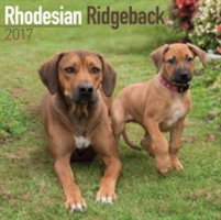 Rhodesian Ridgeback Calendar 2017
