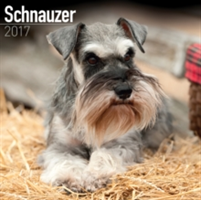 Schnauzer Calendar 2017