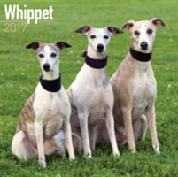 Whippet Calendar 2017
