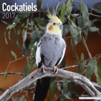 Cockatiels Calendar 2017