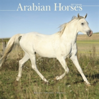 Arabian Horses Calendar 2017