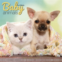 Baby Animals Calendar 2017