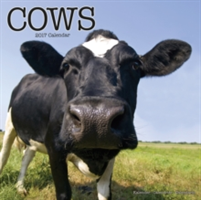 Cows Calendar 2017