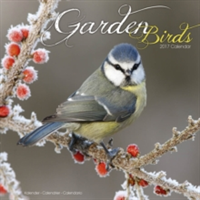 Garden Birds Calendar 2017