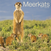 Meerkats Calendar 2017