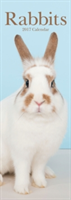Rabbits Slim Calendar 2017