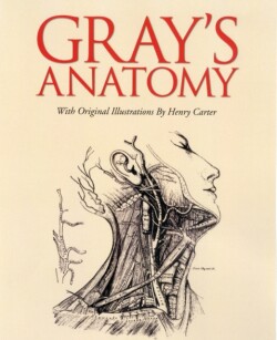 Gray's Anatomy