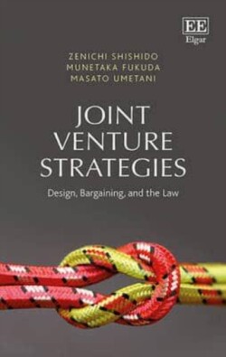 Joint Venture Strategies