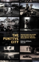 Punitive City