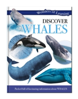 Discover Whales 