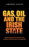 Gas, Oil and the Irish State