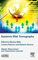 Systemic Risk Tomography