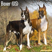 Boxer (US) Calendar 2019