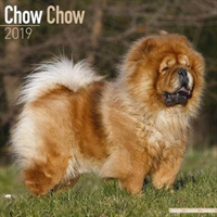 Chow Chow Calendar 2019