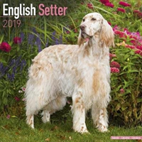 English Setter Calendar 2019