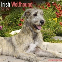 Irish Wolfhound Calendar 2019