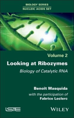 Looking at Ribozymes