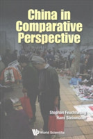 China In Comparative Perspective