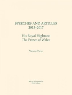 Speeches and Articles 2013 - 2017