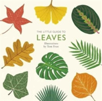 Little Guide to Leaves