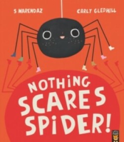 Nothing Scares Spider