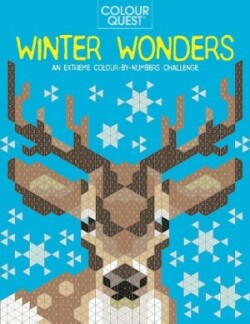 Colour Quest®: Winter Wonders